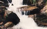 玉龍?jiān)?、響水?></a></dd>
  <dd>
	 

	

	 

	　　雨母山西北一個山皂，東西縱向長達(dá)1公里。有叫玉龍?jiān)?，有叫響水皂。該皂有響水泉和響水瀑布。在玉龍?jiān)砼c九龍沖相隔的山坳，叫玉龍騰山坳，簡稱玉龍坳。玉龍土皂現(xiàn)駐有供電所、林場和蒸湘區(qū)黨校。在玉龍?jiān)淼?，有一泉臺，叫玉龍臺。...[<a href=
