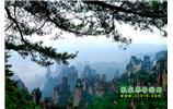 【純玩獨(dú)立成團(tuán)線路1】張家界、袁家界、天子山、寶峰湖/黃龍洞二晚三日