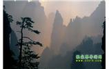 張家界國家森林公園、寶峰湖/黃龍洞、鳳凰古城、三峽八日游