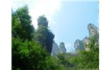 【純玩拼團(tuán)線路 張家界出發(fā)A2線】張家界、袁家界、天子山、金鞭溪、鳳凰古城2晚3日游